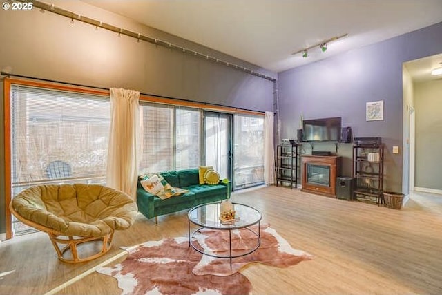 living room featuring rail lighting and hardwood / wood-style floors