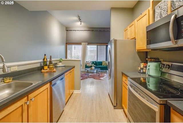 kitchen with sink, stainless steel appliances, and light hardwood / wood-style floors