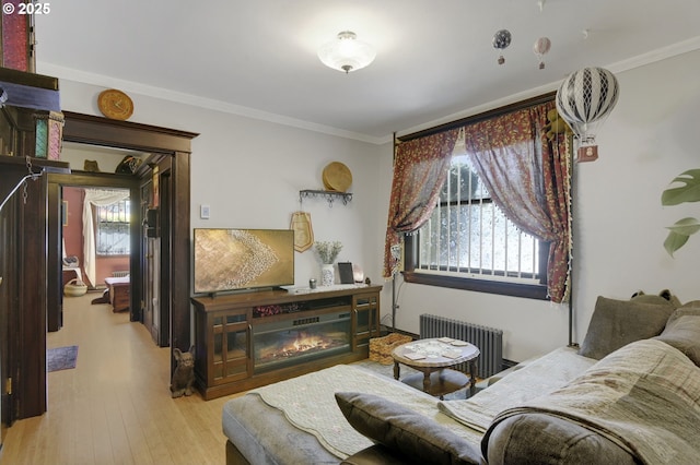 living room featuring crown molding, radiator, a glass covered fireplace, and wood finished floors