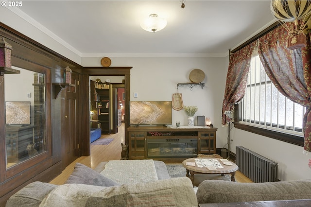 interior space featuring crown molding, wood finished floors, and radiator