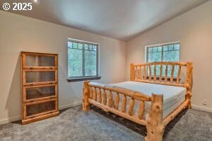 carpeted bedroom featuring multiple windows, vaulted ceiling, and baseboards