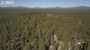 aerial view featuring a mountain view and a view of trees