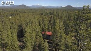 drone / aerial view featuring a forest view and a mountain view