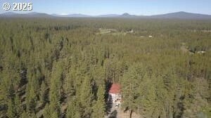 birds eye view of property featuring a mountain view and a wooded view