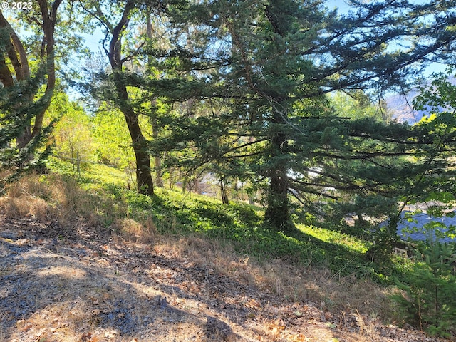 130 Aker Dr, Myrtle Creek, OR 97457 - view of woods