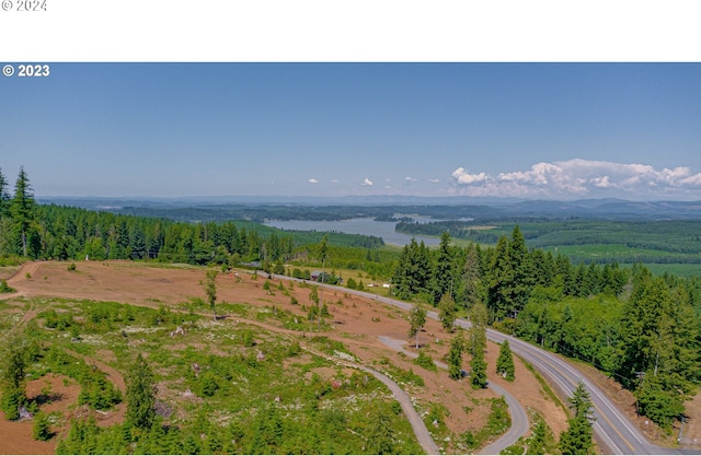 drone / aerial view with a water view and a forest view