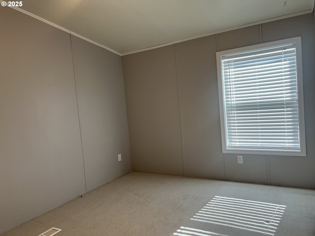 carpeted spare room featuring a healthy amount of sunlight and crown molding