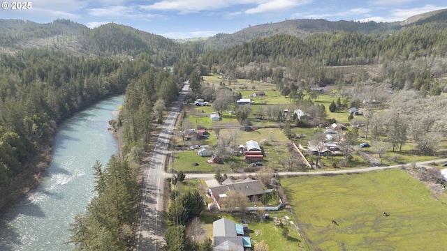 birds eye view of property featuring a view of trees and a water and mountain view