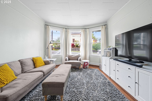 living room featuring wood finished floors and plenty of natural light