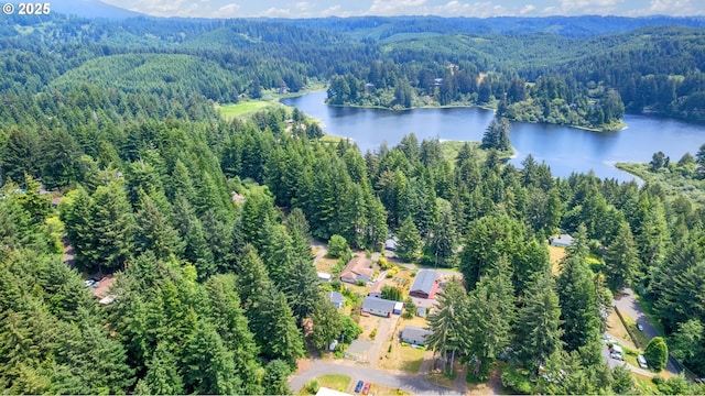 89311 Sutton Lake Dr, Florence, OR 97439 - view of property location featuring a forest and a water and mountain view
