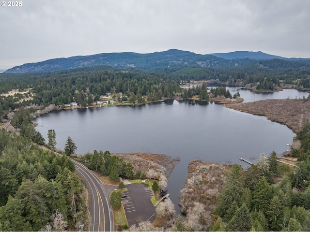 89311 Sutton Lake Dr, Florence, OR 97439 - bird's eye view of a forest and a water and mountain view