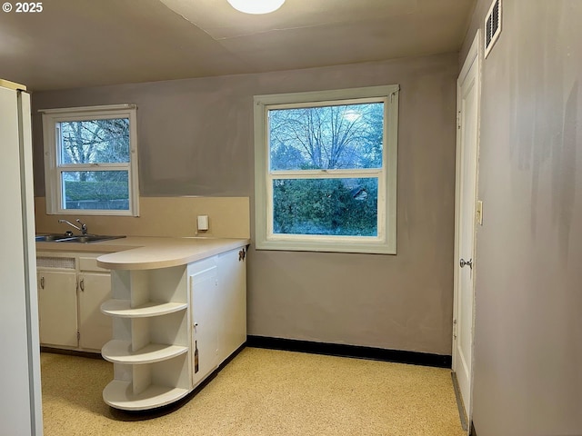 laundry area with sink and plenty of natural light