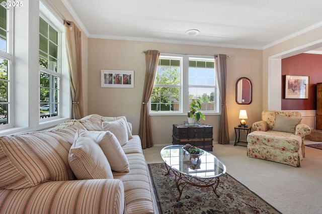 16295 NW Energia St, Portland, OR 97229 - living area featuring light colored carpet and crown molding
