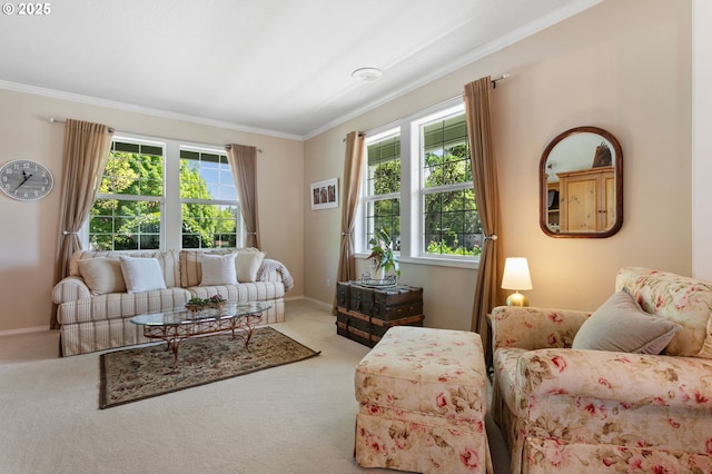 16295 NW Energia St, Portland, OR 97229 - carpeted living area with ornamental molding and baseboards