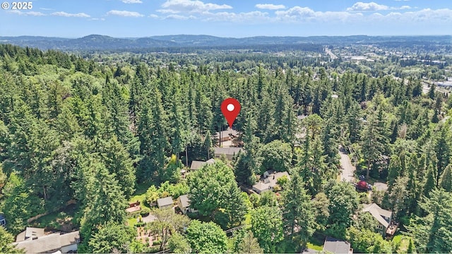 12028 SW Lesser Rd, Portland, OR 97219 - view of property location featuring a forest and a mountainous background