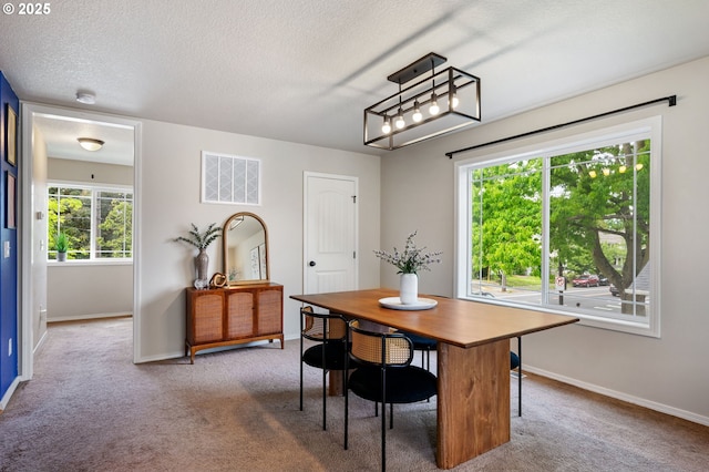 carpeted dining room with baseboards and a textured ceiling