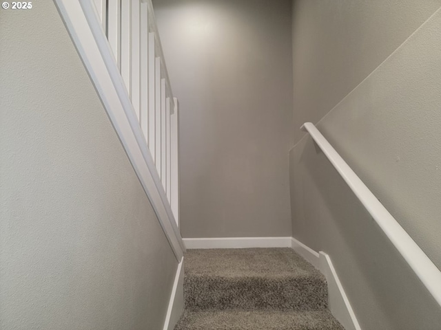 staircase with carpet floors