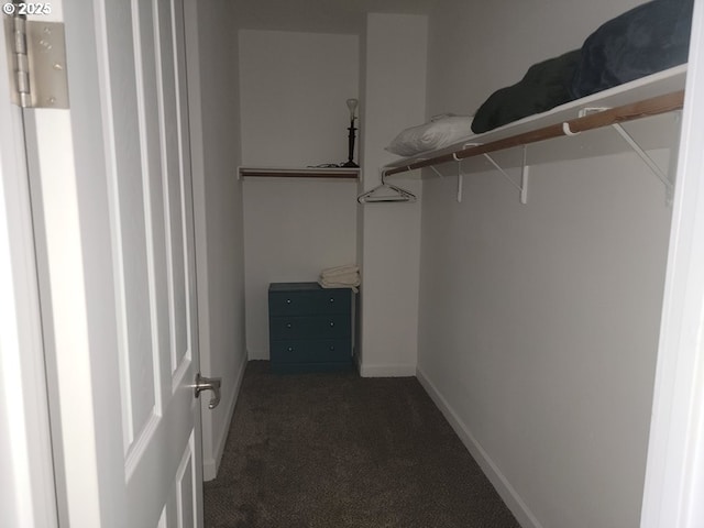 walk in closet featuring dark colored carpet