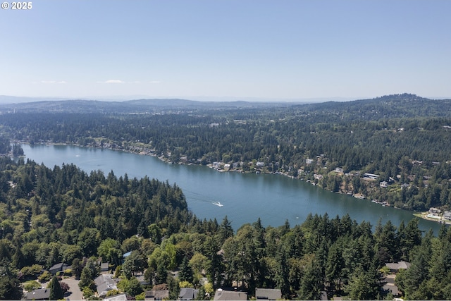 17141 Hofer Ct, Lake Oswego, OR 97034 - aerial view of a water and mountain view
