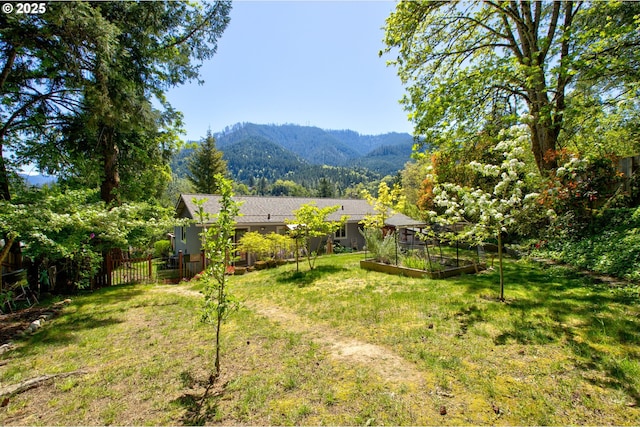 590 Fairchild St, Canyonville, OR 97417 - view of yard featuring fence, a garden, and a mountain view