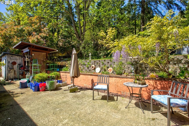 590 Fairchild St, Canyonville, OR 97417 - view of yard with a storage unit, a patio area, and an outbuilding