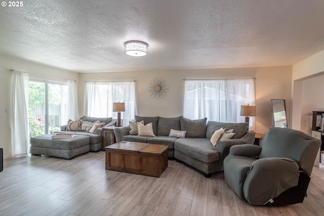 4033 Hanna St, Roseburg, OR 97471 - living area with a textured ceiling and light wood-style floors