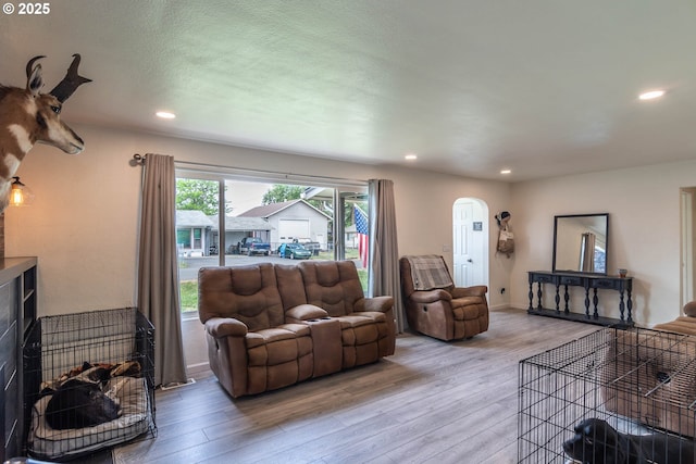4033 Hanna St, Roseburg, OR 97471 - living room featuring arched walkways, light wood-style flooring, and recessed lighting