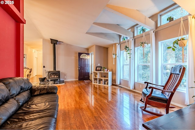 living room featuring a wood stove, a healthy amount of sunlight, baseboards, and wood finished floors