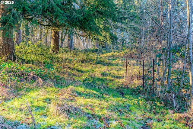 view of local wilderness with a wooded view