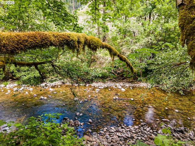 Sharps Creek Rd, Dorena, OR 97434