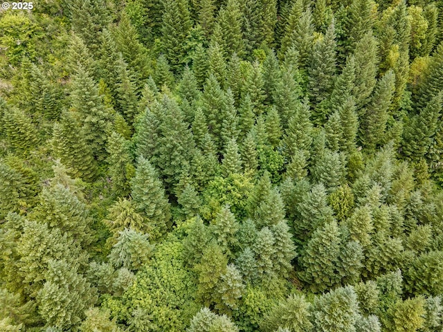 Sharps Creek Rd, Dorena, OR 97434