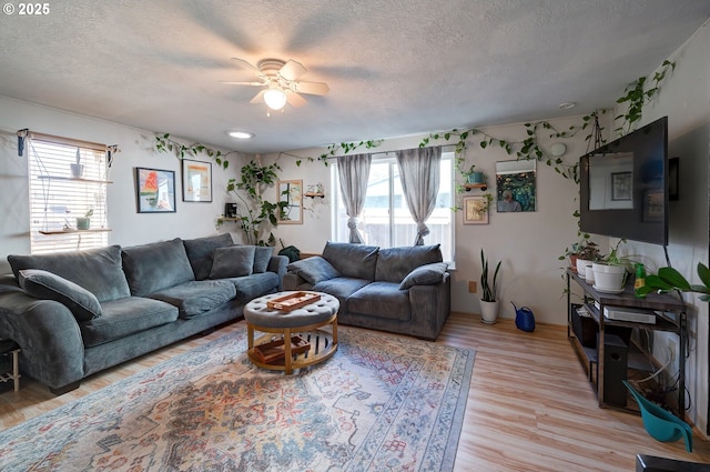 living room with ceiling fan, a textured ceiling, and light hardwood / wood-style flooring