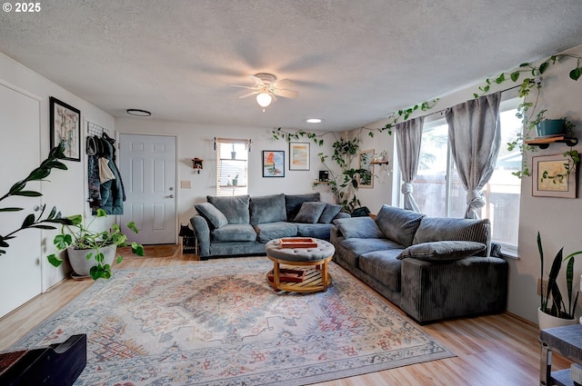 living room featuring ceiling fan, light hardwood / wood-style floors, and a textured ceiling