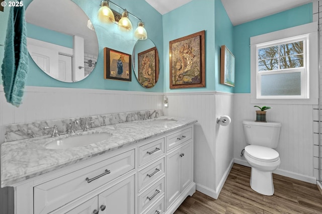 bathroom with a wainscoted wall, wood finished floors, a sink, and toilet