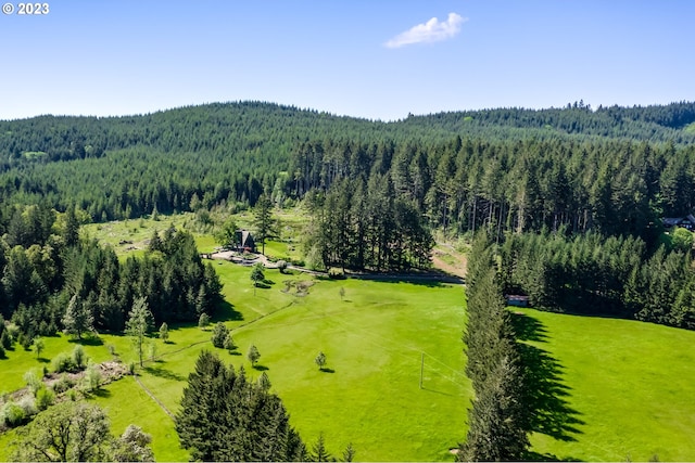 bird's eye view with a forest view