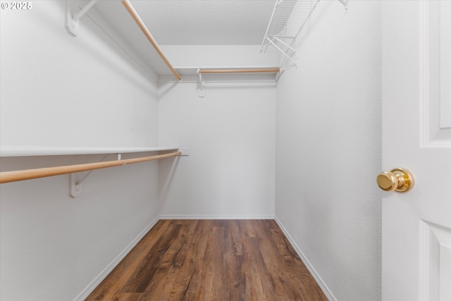 2462 NE 11th Ave, Hillsboro, OR 97124 - spacious closet with wood finished floors