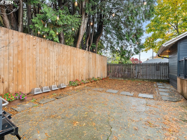 view of yard featuring a patio