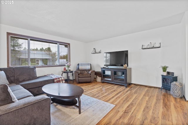 living room with hardwood / wood-style floors and a wood stove