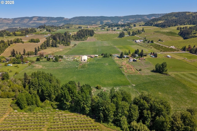 bird's eye view with a rural view and a mountain view