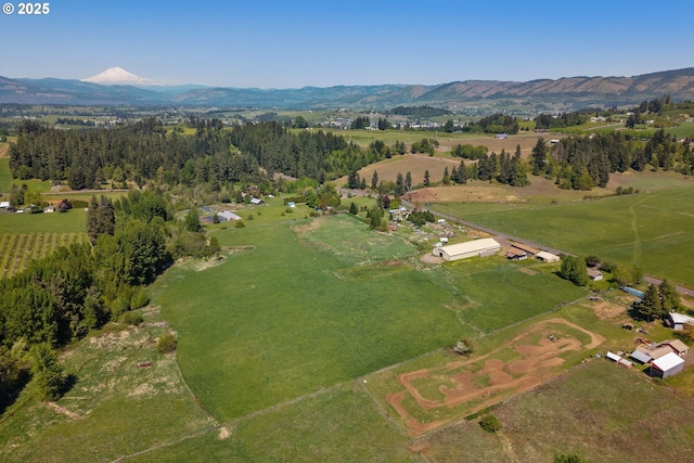 birds eye view of property with a rural view and a mountain view