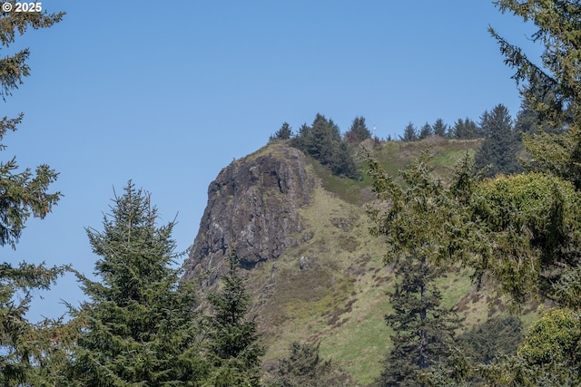 mountain view