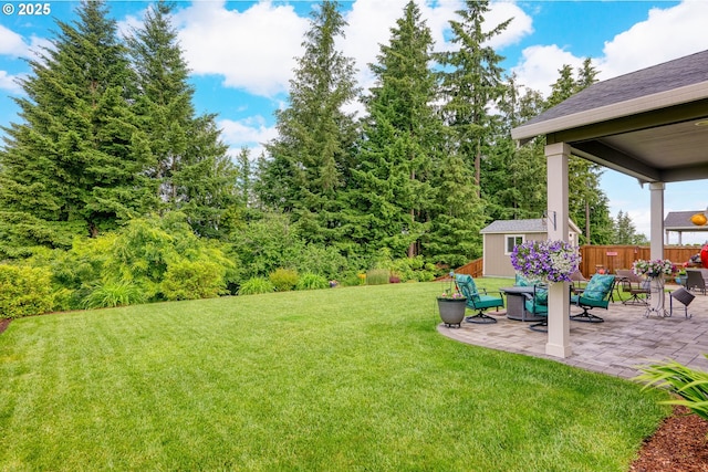 view of yard featuring a patio and a storage unit