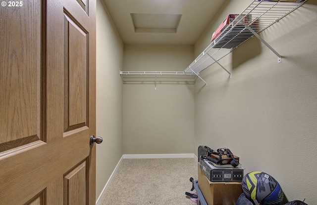 walk in closet with light carpet