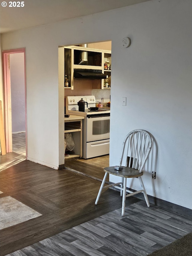 kitchen featuring electric range, baseboards, wood finished floors, under cabinet range hood, and open shelves