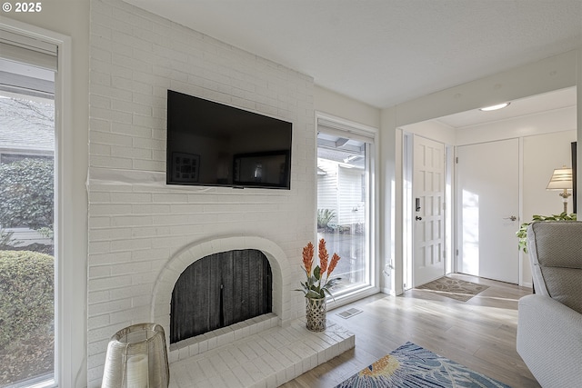 living room featuring a fireplace, plenty of natural light, and light hardwood / wood-style floors