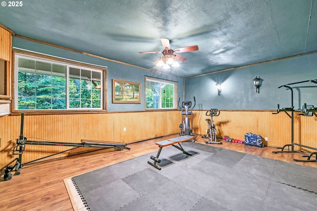 32739 Taylor Butte Rd, Cottage Grove, OR 97424 - exercise area featuring wainscoting, a ceiling fan, wood finished floors, and wood walls