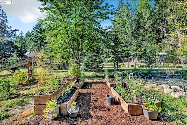 32739 Taylor Butte Rd, Cottage Grove, OR 97424 - view of yard with a vegetable garden