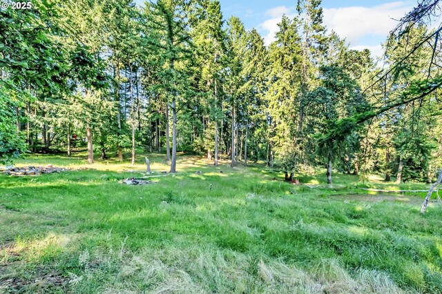 32739 Taylor Butte Rd, Cottage Grove, OR 97424 - view of local wilderness