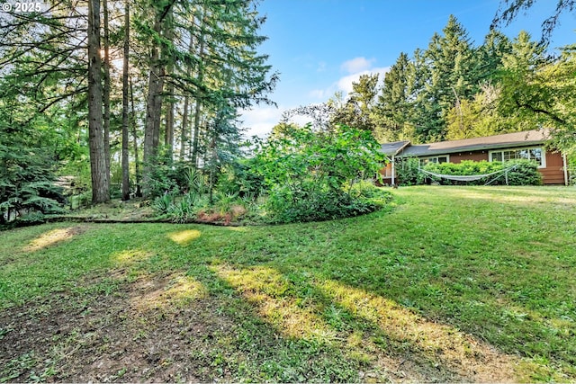 32739 Taylor Butte Rd, Cottage Grove, OR 97424 - view of green lawn