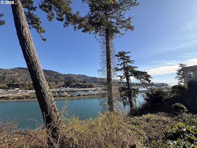 view of water feature with a mountain view